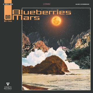 Blueberries on Mars