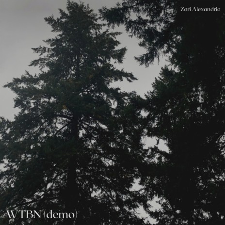 WTBN (Demo) | Boomplay Music