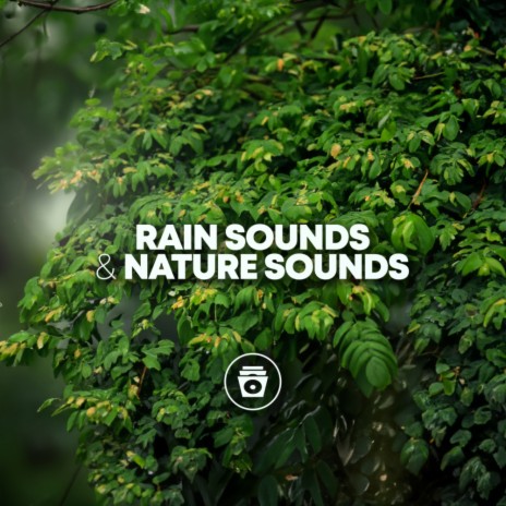 Summer Rainstorm | Boomplay Music