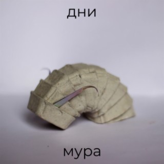 Дни