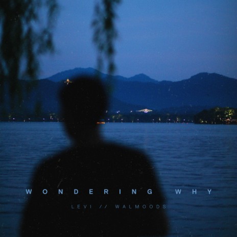 wondering why ft. Walmoods | Boomplay Music