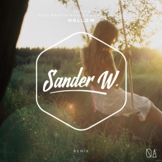 Hollow (feat. Martin Wagler) (Sander W. Remix)