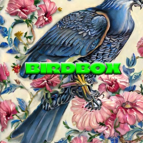 Birdbox ft. loco.bby | Boomplay Music