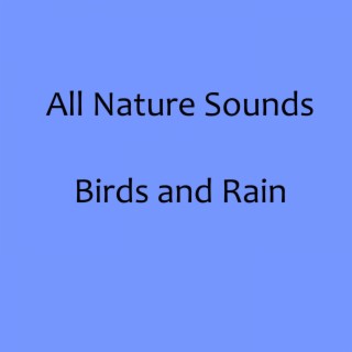 Birds and Rain