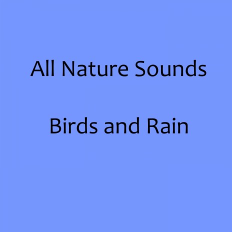 Birds Chirping and Rain | Boomplay Music