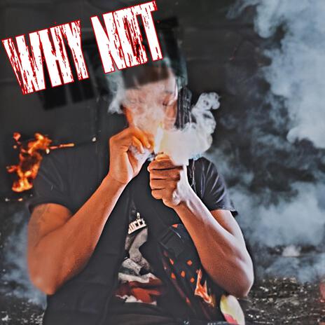 Why Not | Boomplay Music