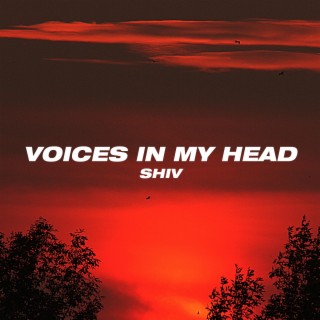 Voices In My Head