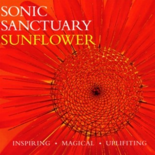 Sonic Sanctuary