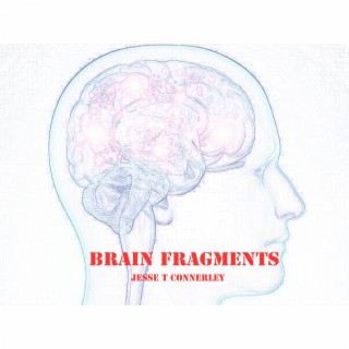 Brain Fragments
