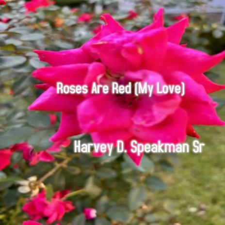 Roses Are Red (My Love) | Boomplay Music