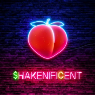 Shakenificent (feat. PUSH.audio)