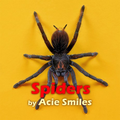 Spiders | Boomplay Music