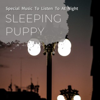 Special Music to Listen to at Night