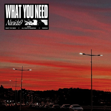 What You Need | Boomplay Music