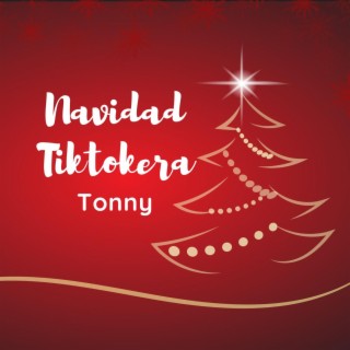 Navidad Tiktokera lyrics | Boomplay Music