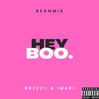 HEY BOO! (IMARI & Breezii Remix)