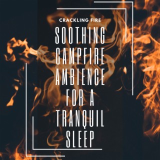 Soothing Campfire Ambience for a Tranquil Sleep