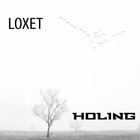 Holing | Boomplay Music
