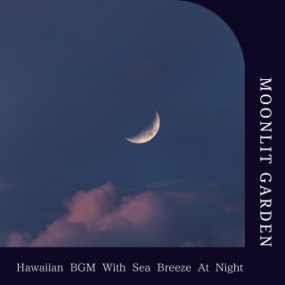 Hawaiian Bgm with Sea Breeze at Night