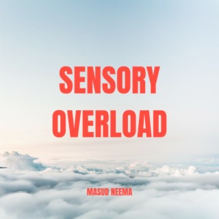 Sensory Overload