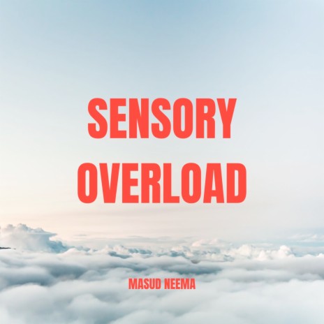 Sensory Overload | Boomplay Music