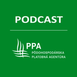 PPA PODCAST(audio):Aký je aktuálny stav vo výzvach 4.1 a 4.2?