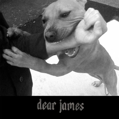 Dear James | Boomplay Music