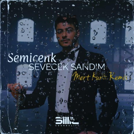 Sevecek Sandım (Remix) | Boomplay Music