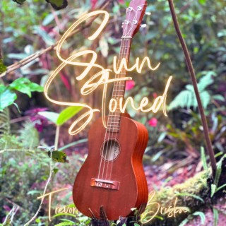 Sun Stoned lyrics | Boomplay Music