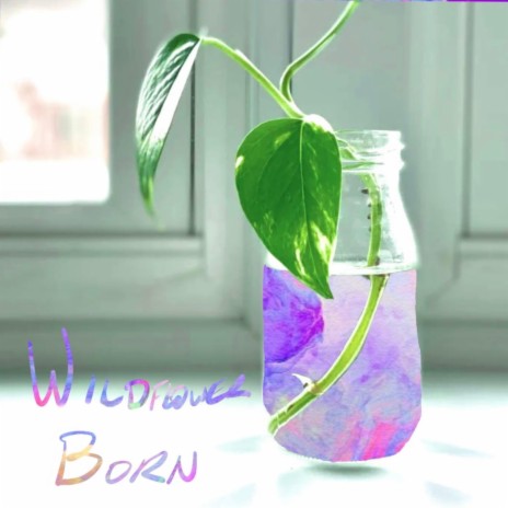 Wildflower Born | Boomplay Music