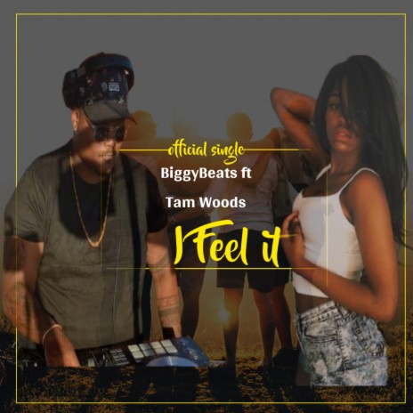 I Feel It ft. Tam Woods | Boomplay Music