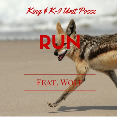 Run (feat. Wolf)