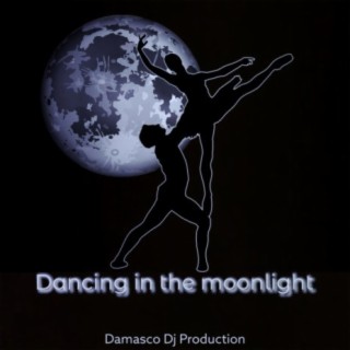 Dancing in the moonlight (Radio Edit)