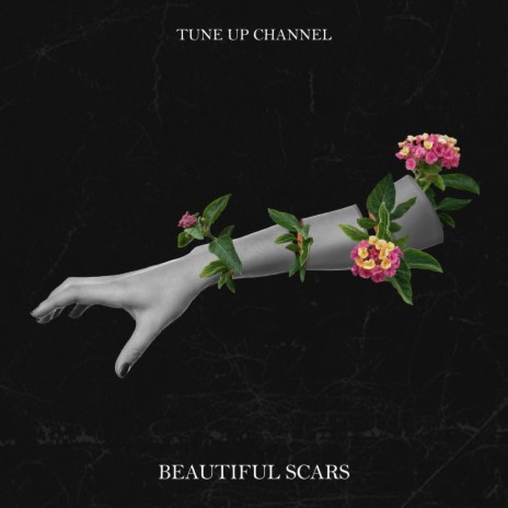 Beautiful Scars | Boomplay Music