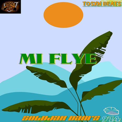 Mi flye | Boomplay Music