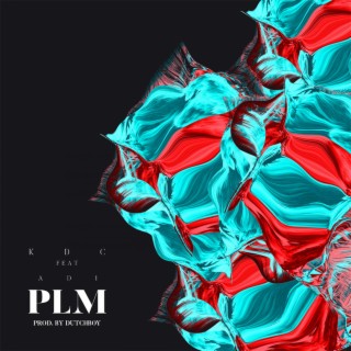 PLM (feat. ADI)