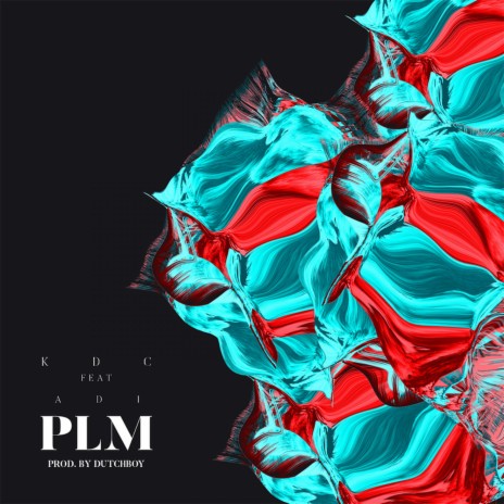 PLM (feat. ADI) | Boomplay Music