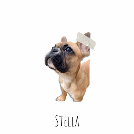 Stella