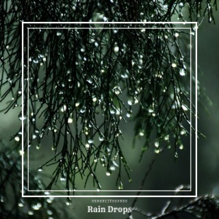 Rain Drops