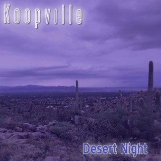 Desert Night