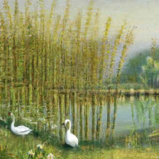 Pond in spring