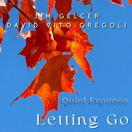 Letting Go ft. David Vito Gregoli | Boomplay Music