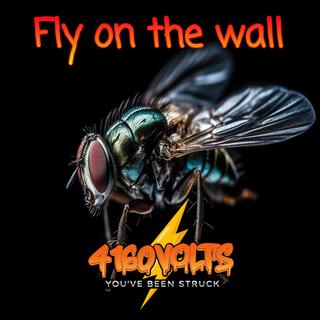 Fly on the wall