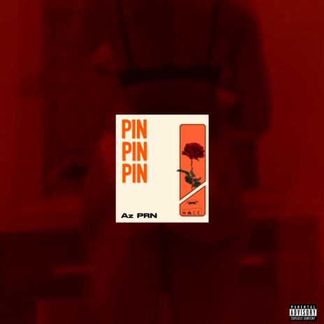 PIN | Boomplay Music