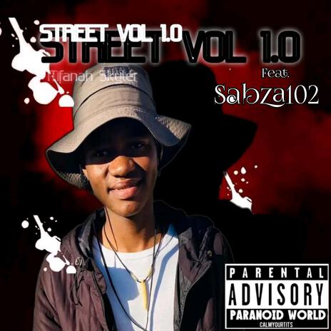 Street Vol 1.0 ft. Sabza102 | Boomplay Music