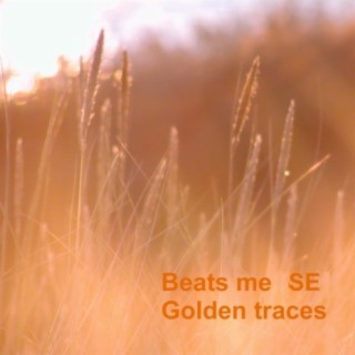 Golden Traces