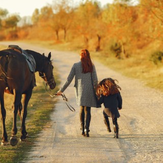 What is Equine Therapy in Addiction Treatment (Podcast)