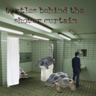 Turtles Behind the Shower Curtain lyrics | Boomplay Music
