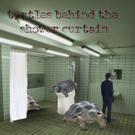 Turtles Behind the Shower Curtain