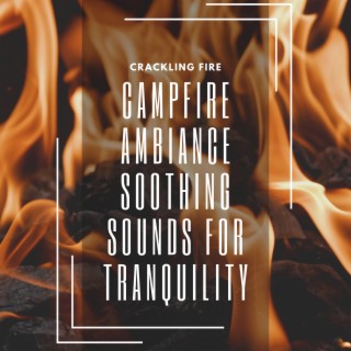 Campfire Ambiance: Soothing Sounds for Tranquility, Meditation, and Calm Nights